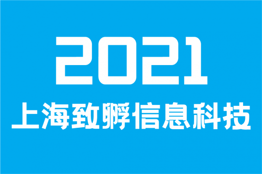 2021 上海致孵信息科技