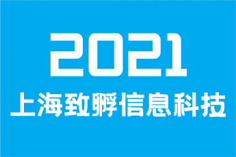 2021 上海致孵信息科技